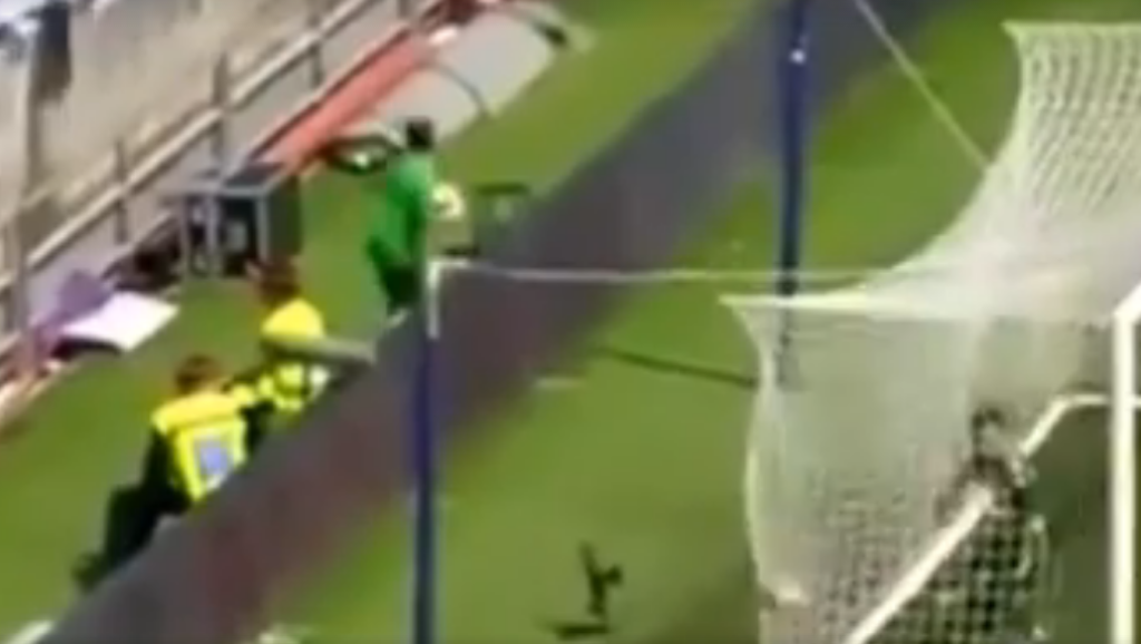 Il Napoli segna contro il Sassuolo, il figlio di  Cannavaro a bordo campo fa impazzire i tifosi