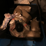 Importavano droga dalla Spagna, trovato un vero e proprio tesoro nelle loro abitazioni