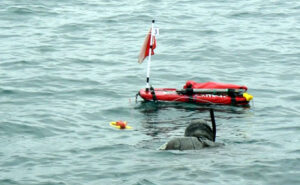 Napoli, sub sparito nel mare: continuano le ricerche della Guardia Costiera