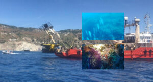 Ischia, alla scoperta dei fondali dell'isola a bordo di un sottomarino