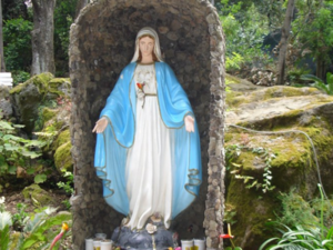 La Madonna di Zaro e le sue profezie: “Rumori di guerra e tremori si udranno nella mia amata terra"