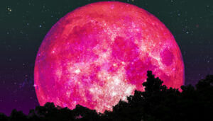 Arriva la "Luna di fragola" e lo sciame di stelle cadenti: l'evento unico da non perdere