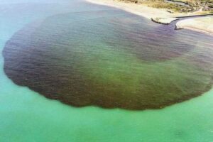 Scoperti gli artefici della macchia nera nel canale Agnena, era letame di un'azienda del Casertano