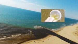 Mare sporco nell'area flegrea e nel litorale domizio, il comunicato della regione: "Nessun pericolo"