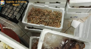 Giugliano, maxi sequestro della Guardia di Finanza in un centro ittico