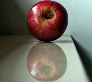 Mela annurca: storia e origini del mitico frutto campano