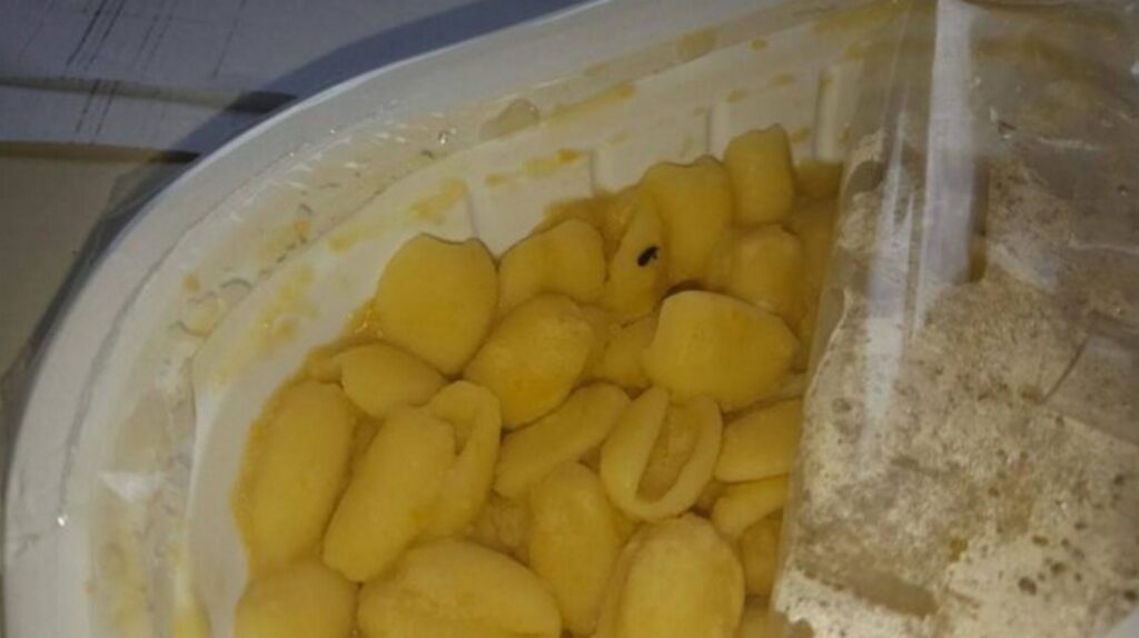 Mensa scolastica a Napoli, ancora insetti nei pasti: la denuncia di padre
