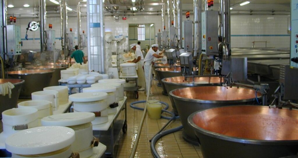 Mondragone: sequestro in una nota azienda bufalina