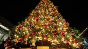 Napoli: un albero di 30 metri sul lungomare per festeggiare il Natale