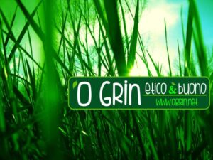 'O grin: a mezzocannone la cucina vegana made in Naples