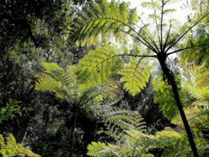 Orto Botanico Napoli: perdersi nell'oasi cittadina