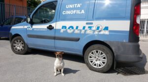 Ischia, sequestro droga grazie cane Pocho