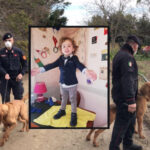 Diego, trovato senza vita a 3 anni. Il nonno dalla 'Zona rossa': "Portatemi da lui"