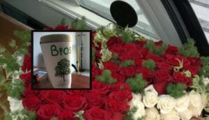 Pompe funebri "eco-friendly", l'agenzia napoletana punta sul rispetto dell'ambiente