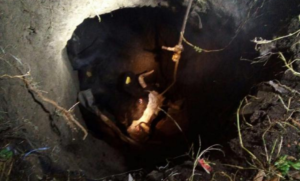 Ragazzo cade in un pozzo a Portici, Vigili del Fuoco a lavoro