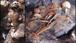 Ercolano, ritrovamento unico al mondo: frammenti di cervello vetrificati di una vittima dell'eruzione del 79 d.C.