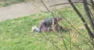 Sesso nei giardinetti del parco davanti a tutti: l’area gioco diventa hard