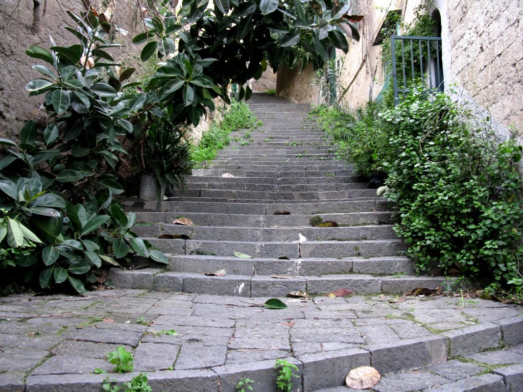 Sii turista della tua città: nuovo appuntamento per pulire Napoli