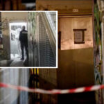 Violenza in circum, la Procura fa ricorso: "È stato uno stupro"