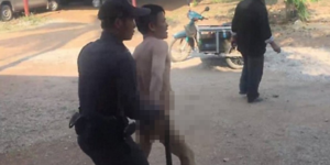 Thailandia, fa sesso con una mucca: arrestato dalla polizia