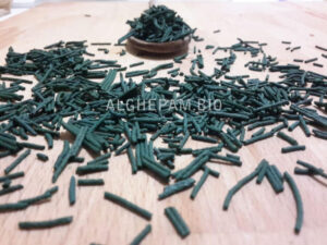 È coltivato in Campania l'alimento del futuro: "È per l'elisir di lunga vita"