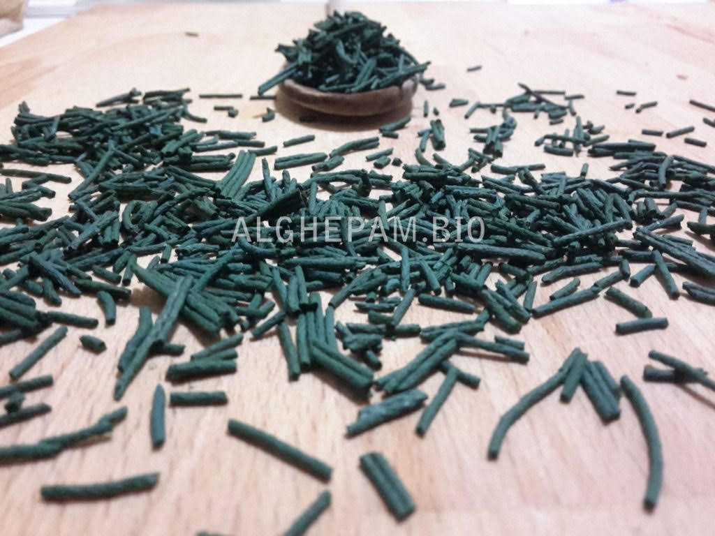 È coltivato in Campania l'alimento del futuro: "È per l'elisir di lunga vita"