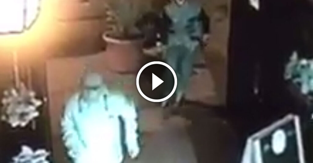 Vomero, ladri in azione al Penny Black Pub: rubato l'albero di Natale