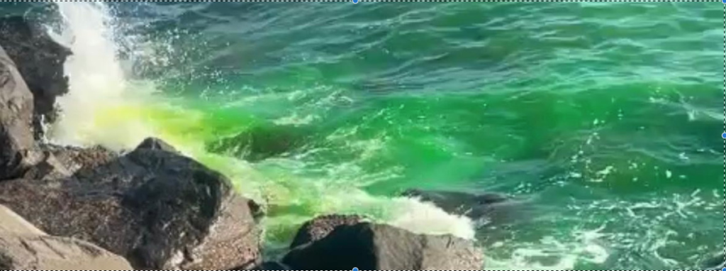 Acqua verde a Portici