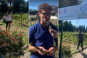 Aperta la Vigna didattica a Pianura