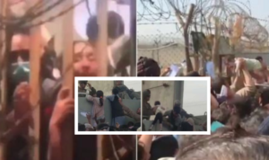 Bimbi afghani lanciati oltre il filo spinato