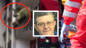 Cade dal balcone mentre innaffia le piante e muore