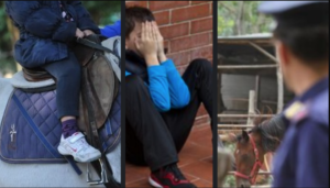 Condannato il titolare del maneggio degli orrori