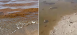 Divieto di balneazione a Licola e Pozzuoli