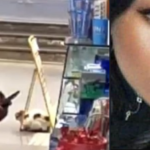 Elpidio D'Ambra e il Gratta e vinci