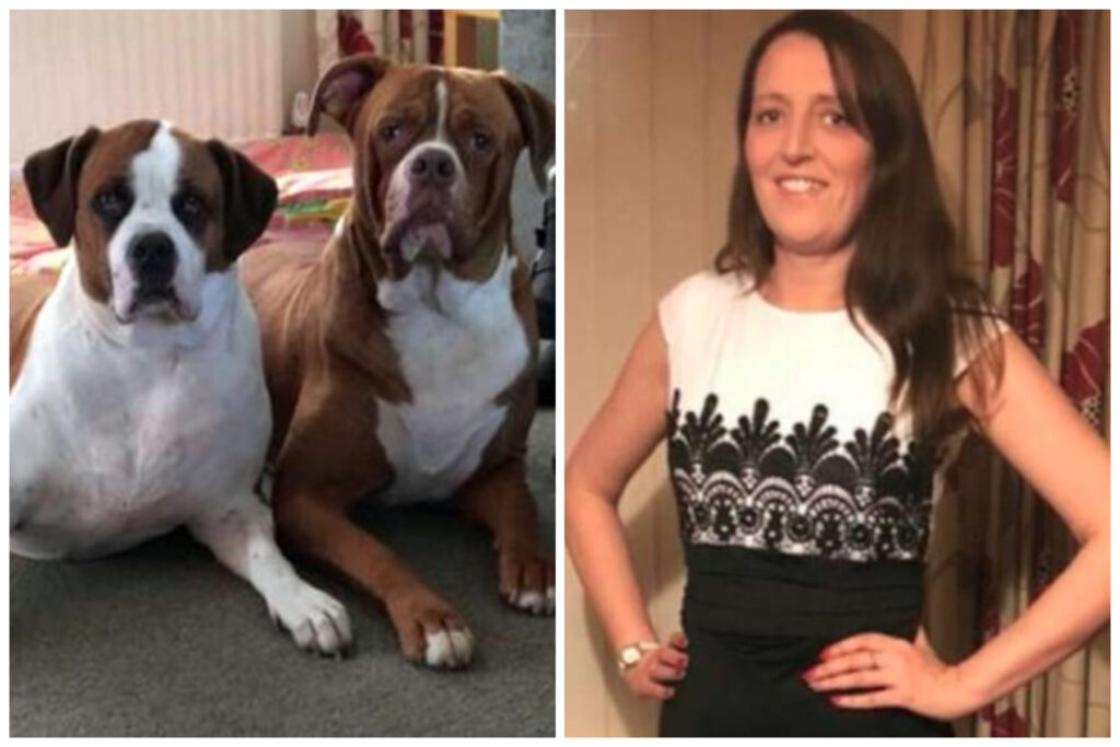 Mamma litiga con la figlia incinta, i cani l'attaccano e la sbranano viva