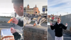 Il gabbiano e la pizza di Porzio