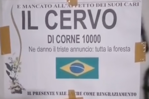 Il manifesto a Napoli del cervo di corne
