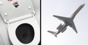 Piovono escrementi dal cielo