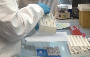 Coronavirus, in Italia 1585 positivi e 13 decessi