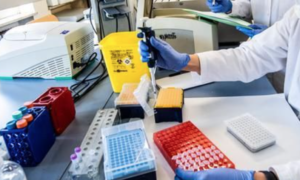 Coronavirus, il bollettino in Italia: sono i contagi rilevati oggi