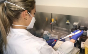 Coronavirus, il bollettino in Italia: oggi i casi positivi sono 16.308