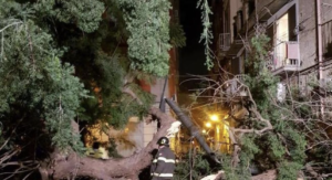 Maltempo Napoli, cade un albero in piazza Cavour: ferito un motociclista