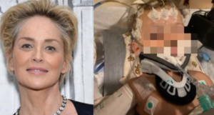 Sharon Stone lascia la sfilata: l'annuncio di Dolce e Gabbana