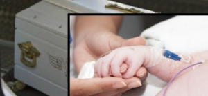 morta Sharon cilento