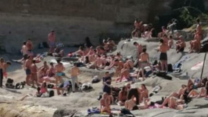 rissa scoglione marchiaro