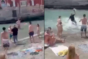 rissa spiaggia delle monache