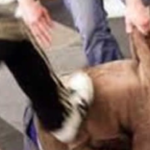 3 ragazzi Picchiati Coroglio