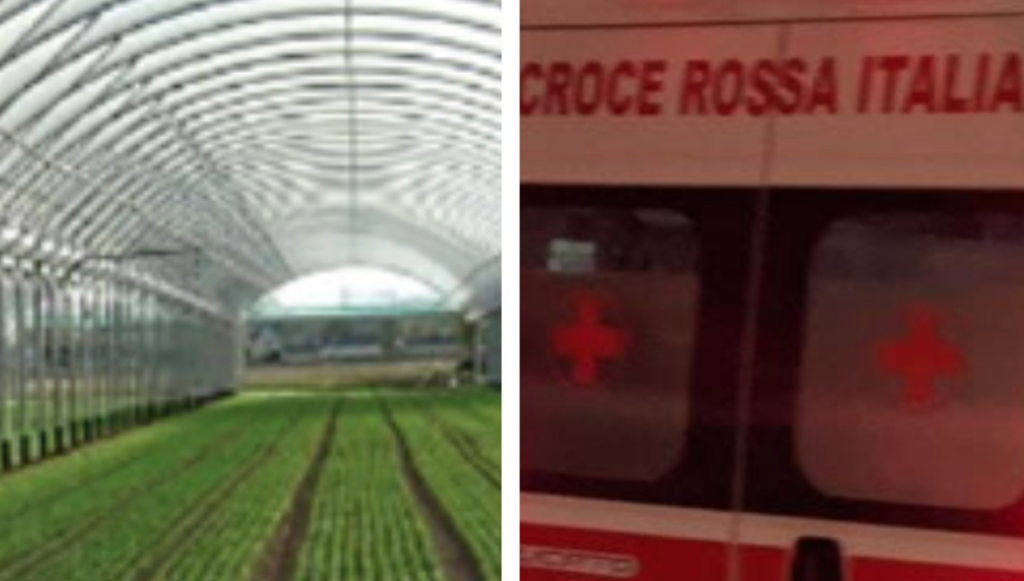 Ventenne muore in serra