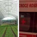 Ventenne muore in serra