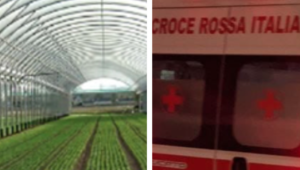 Ventenne muore in serra